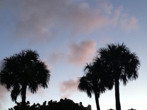 IMG_0967